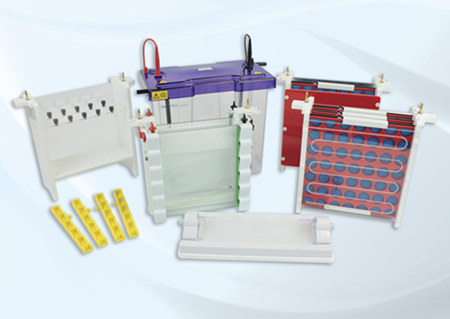 Cleaver: Versatile Integrated System for Gel Electrophoresis