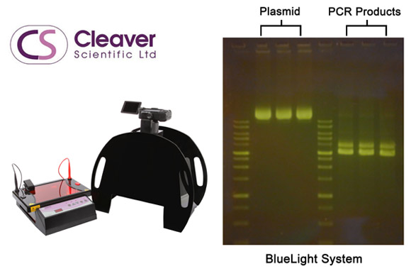 Cleaver Scientific: Safer, More Convenient DNA Electrophoresis