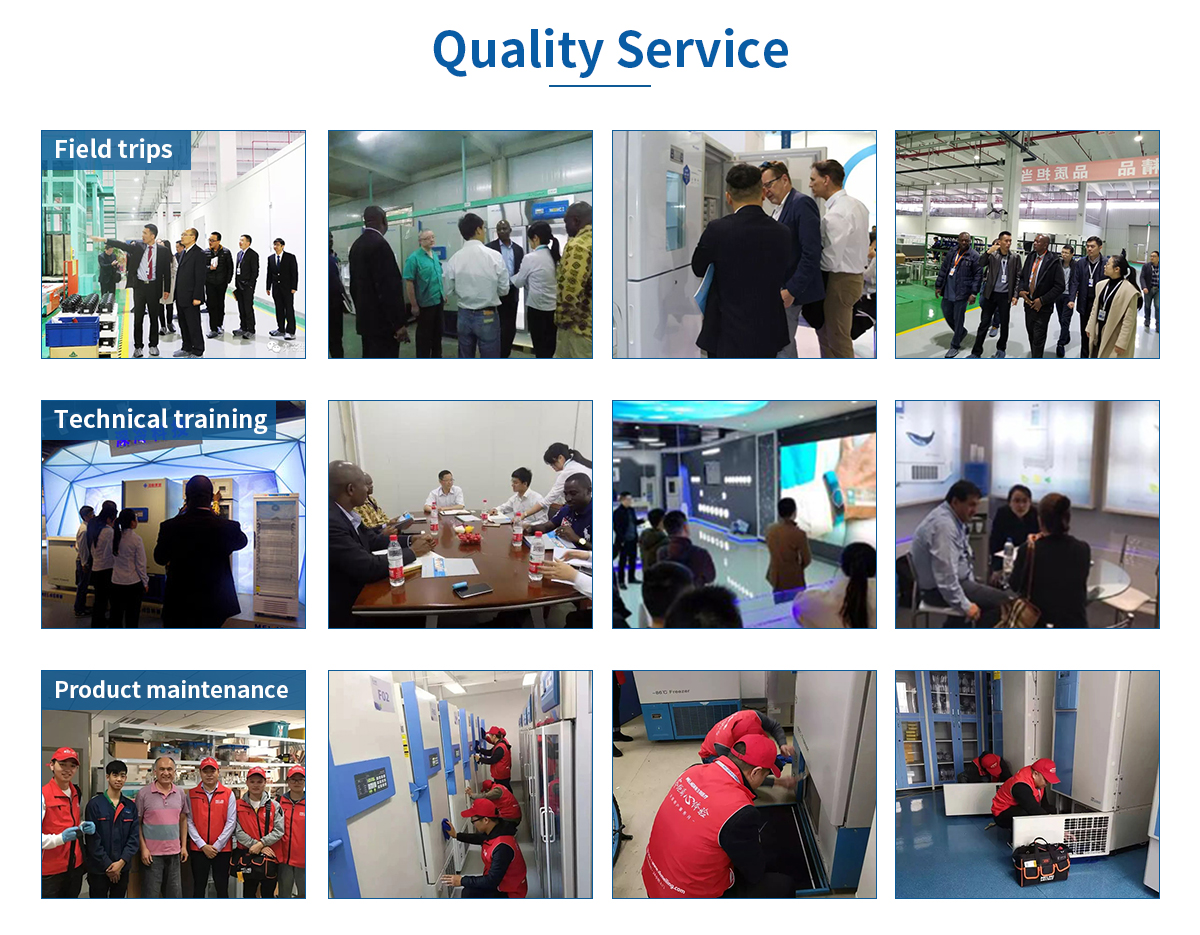 -86C ultra low temperature freezer DW-HL398S